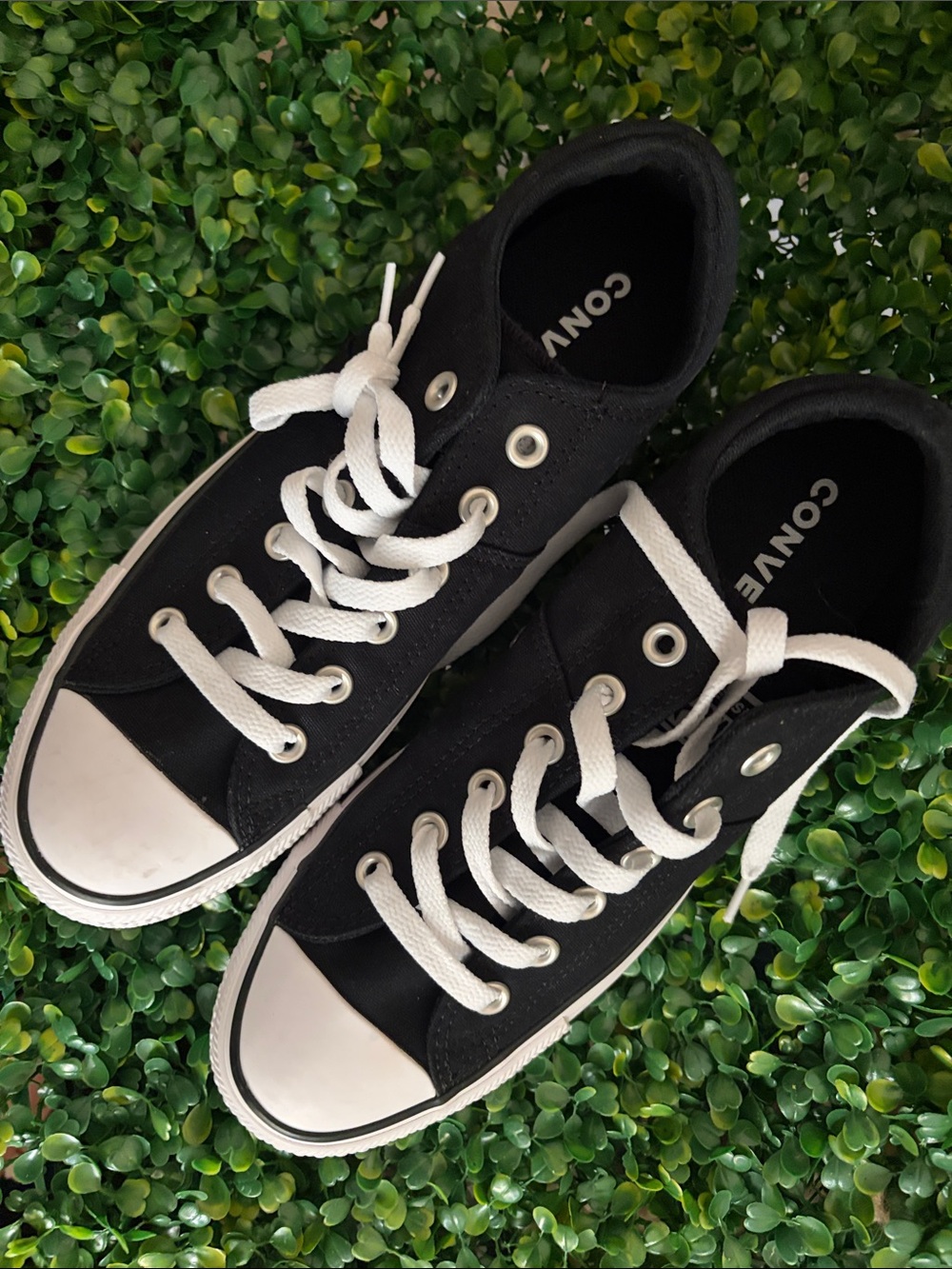 Converse Sneakers